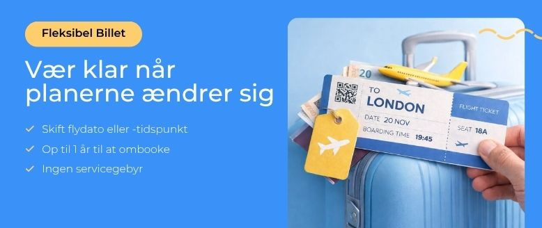 Flexibleticket
