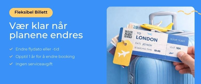 Flexibleticket
