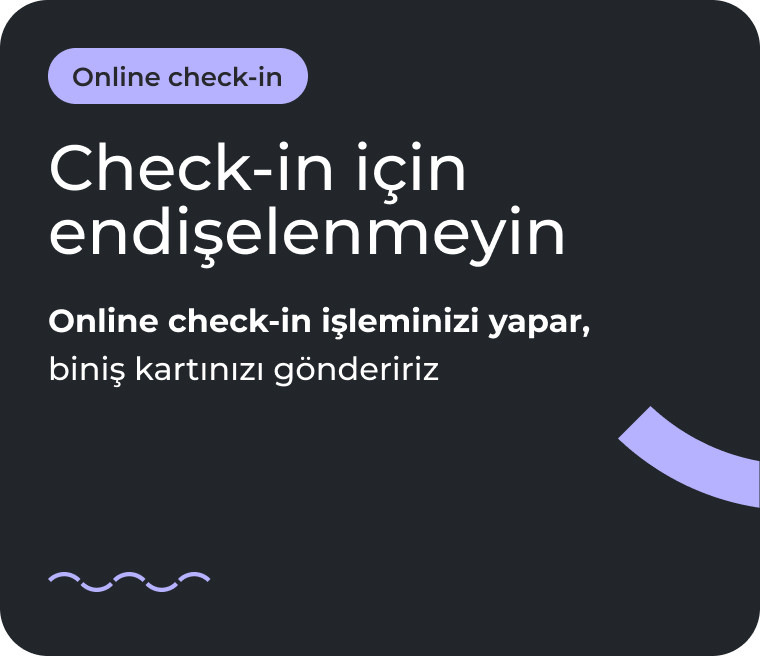 online_checkin